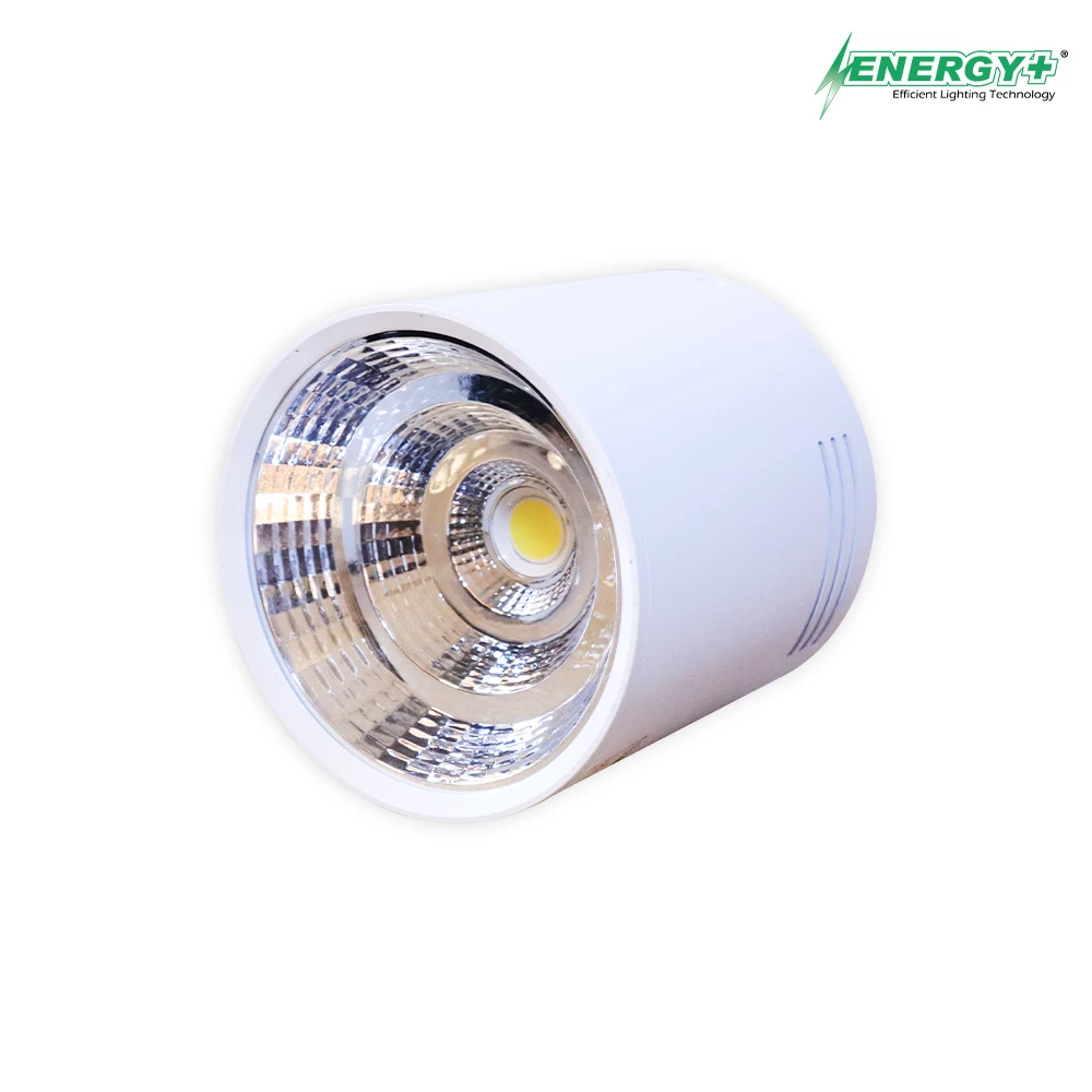 20W Surface Spot Light WH Body WH