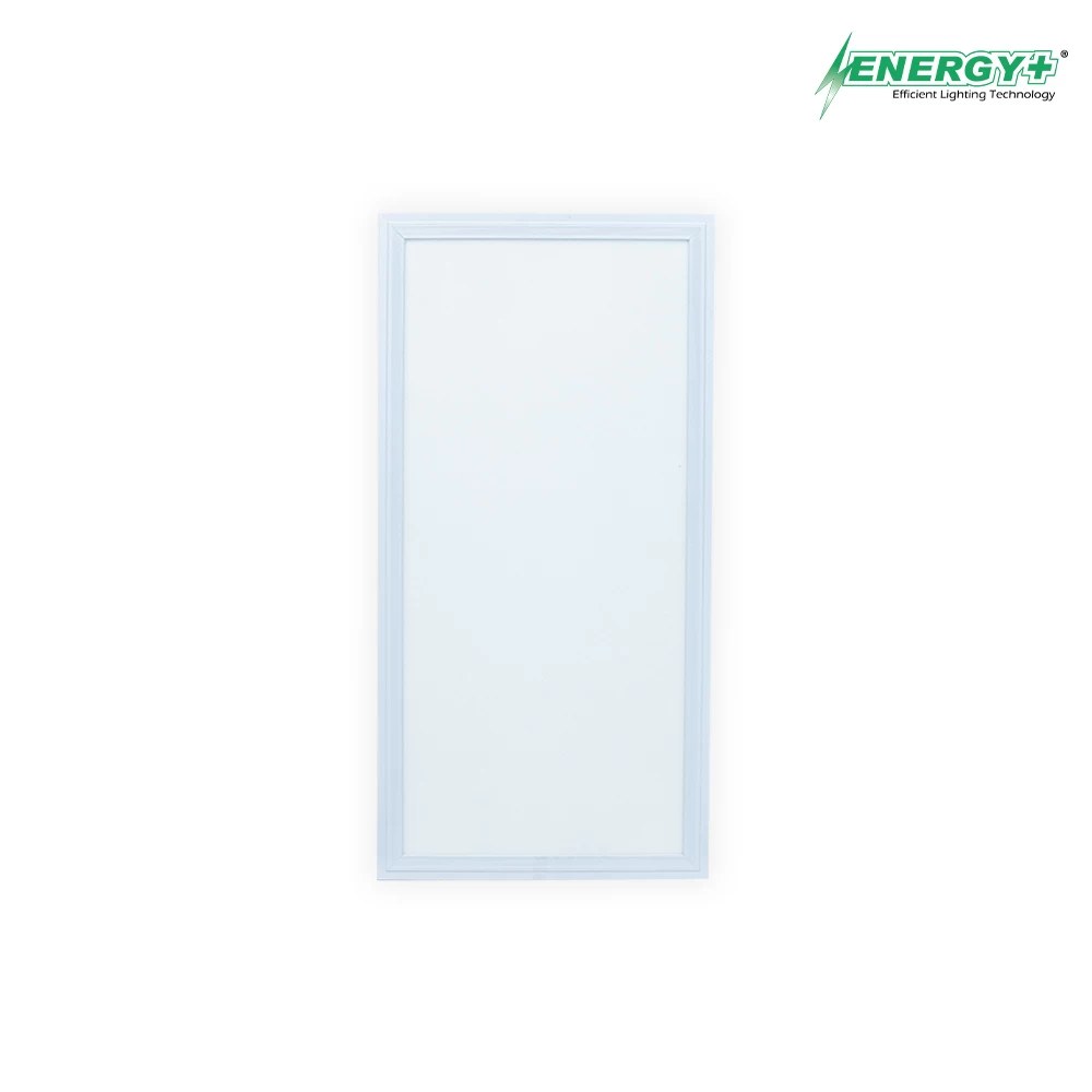 24W LED Concealed Panel 1’x2′ WH/WW