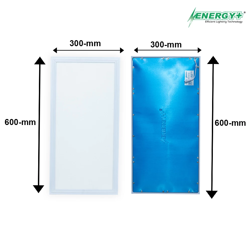 24W LED Concealed Panel 1’x2′ WH/WW