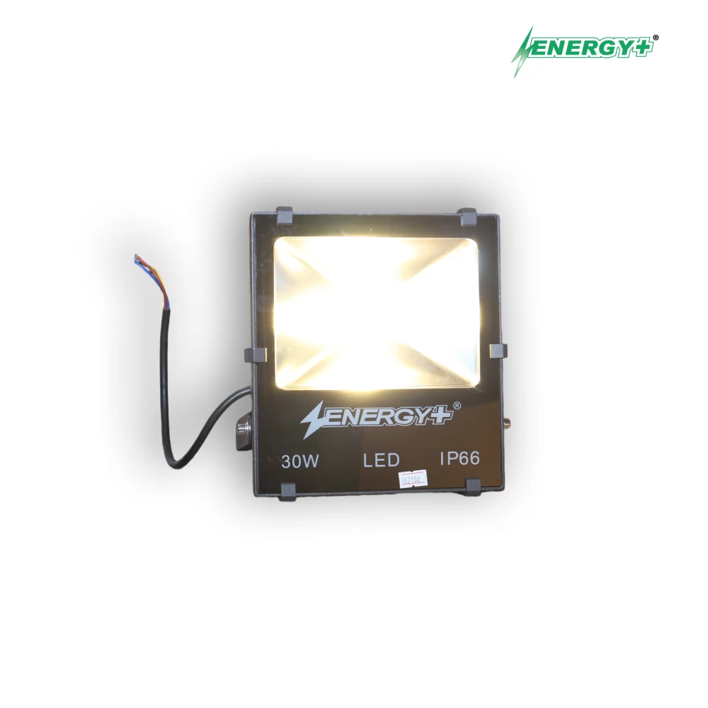 30W Flood Light COB RGB/WR/WH