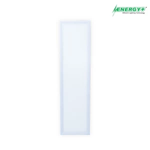 48W LED Concealed Panel 1’x4′ WH