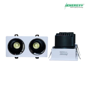 Concealed Spot Light 20W WH Body