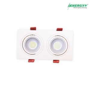 Concealed Spot Light 20W WH/WW 2 Point