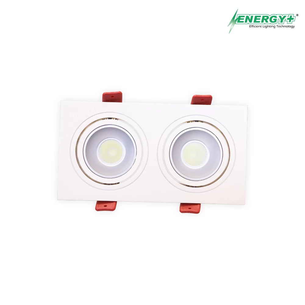 Concealed Spot Light 20W WH/WW 2 Point