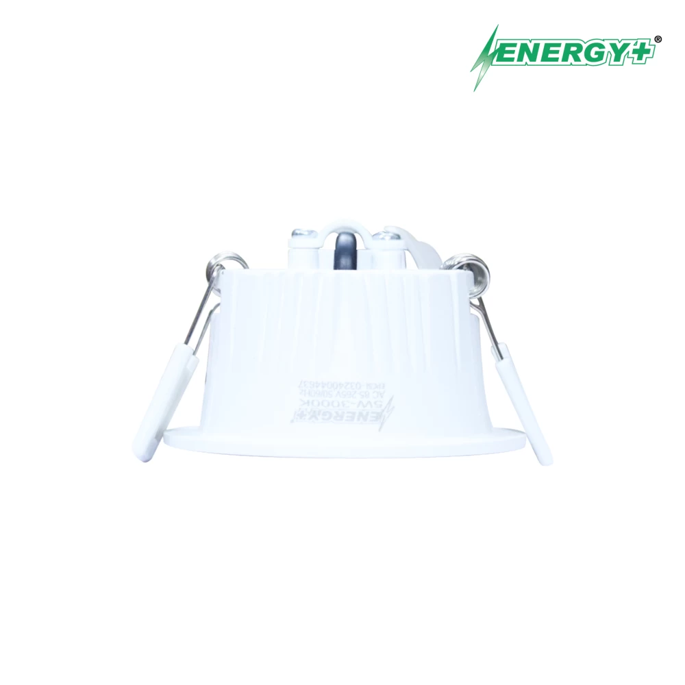 Concealed Spot Light 5W WH Body WH-WR/WH