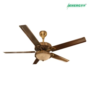 Decorative Fan