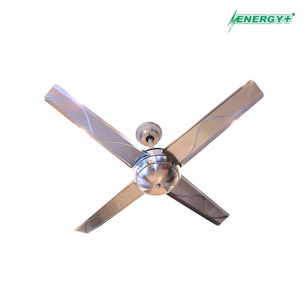 Decorative Fan