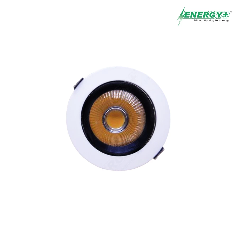 LED Concealed Spot Light 12W