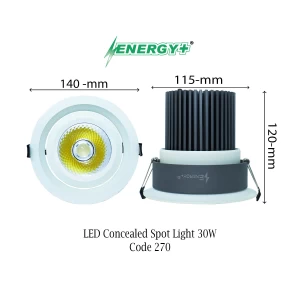 LED Concealed Spot Light 30W Round WH/WR